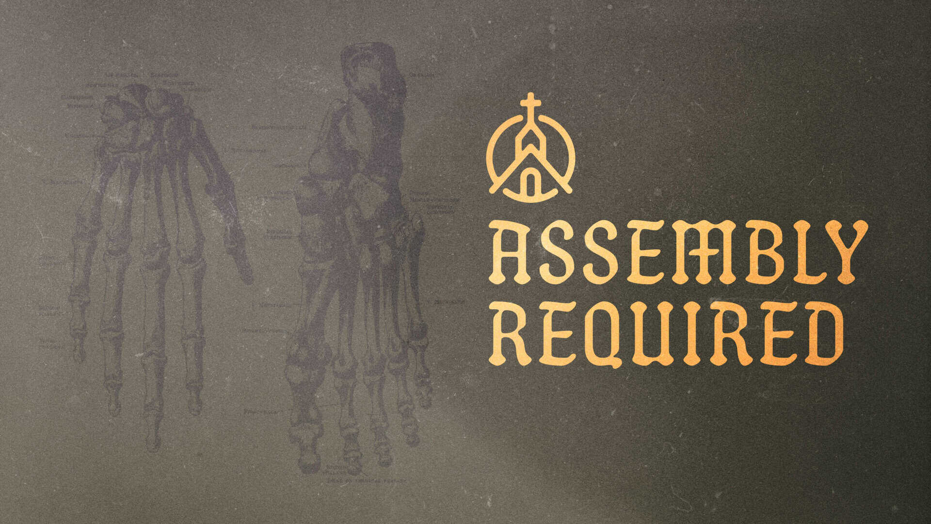 Faded skeletal hand diagrams beside stylized text reading "Assembly Required" on a textured background.